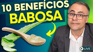 BABOSA (Aloe Vera): ANTIOXIDANTE E ANTI-INFLAMATÓRIO PODEROSO