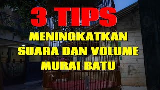 3 TIPS JITU MENIGKATKAN SUARA VOLUME MURAI BATU