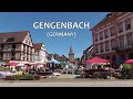 GERMANY Gengenbach & vineyards (9 July 2024)