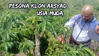 PESONA KLON ARSYAD