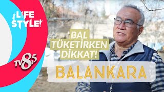 BAL TÜKETİRKEN DİKKAT - BALANKARA MUSA ÜNAL