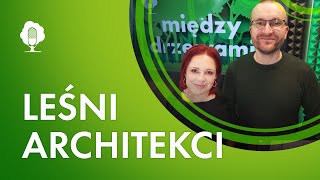 Między Drzewami #108 Leśni architekci [Michał Wieciech, Nadleśnictwo Niepołomice] | PODCAST