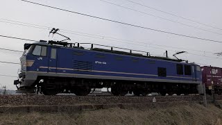 EF510-502牽引高速貨物4091ﾚ　吹田タ→東青森→札幌タ【4K】