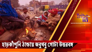 Weather update: হাড়কাঁপুনি ঠান্ডায় জবুথবু গোটা উত্তরবঙ্গ