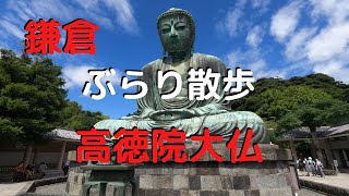 【鎌倉おすすめ　鎌倉大仏】鎌倉大仏、言わずと知れた、鎌倉を代表する名所です。露座の大仏として知られていますが、じっくりと見た事ありますか...？