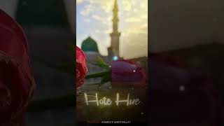 Haal-E-Dil kisko Sunaye Aapke Hote hue❤️/ Islamic Status