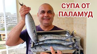 Рибена супа от пресен паламуд! Комбинация от дъх на море, свежи зеленчуци и девесил! Чуден вкус!