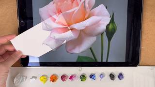 How to make oil painting roses