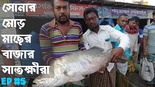 সাতক্ষীরা সোনার মোড় মাছের বাজার | সুন্দরবনের গহীনের গল্প | Sundarban | Chapter 6 | ep - 5