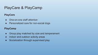 Inside AllDogs Canine Care Center | East Tennessee’s Premier Luxury Dog Boarding & Daycare