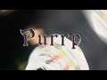 47Lil Champion - Purrp (Official Music Video)