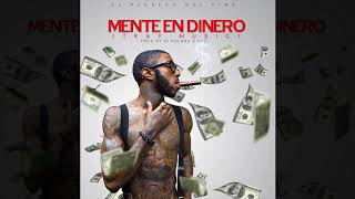 Lil Boy(King Stylo Caro) - Mente en dinero