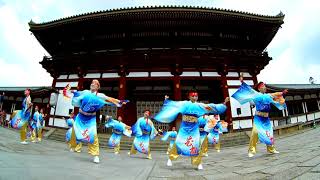 06 花柳 バサラ祭り2019 東大寺会場