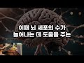 늙지 않는 뇌를 만드는 놀라운 비밀 5분만에 뇌를 바꾸는 10가지 방법 새로운 뇌세포 만드는 방법들 책읽어주는여자 오디오북 인생조언 치매예방 두뇌건강비법