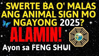 Kapalaran Mo Ngayong 2025 | Chinese Zodiac Luck Year of the Snake | Prediksyon 2025 Feng Shui