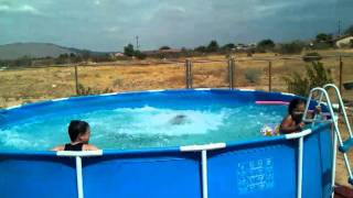 Kiki front flip to pool