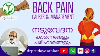 BACK PAIN Causes and Management | നടുവേദന കാരണങ്ങളും പരിഹാരമാർഗ്ഗങ്ങളും | @DrPRUdayaSankar