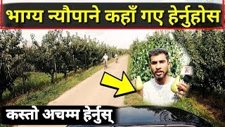 बिदेशको खेतबारीमा घुम्दा हेर्नुहोस यस्तो अचम्म ... Bhagya Neupane Europe Tour