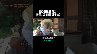 100만원의 가치! 봉독, 그 비싼 이유는? | 리얼다큐 숨