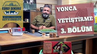 Yonca Yetiştiriciliği - 3. Bölüm #Yonca