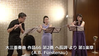 Grand Trio Op.66 No.2, 1st mv. [esse platino]