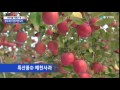 관광·농업에서 신도청 시대 성장거점으로 ytn