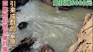 渔民兄弟趕海挑戰价值上千的大鳗打窝 引来五颜六色各种鳗鱼霸窝 上演群龙乱舞大卖5倍简直赚翻