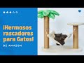 ⭐🙀 5 RASCADORES PARA GATOS de Amazon | City Miau