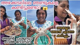 കടൽഞണ്ട് 🐙കടികൊണ്ട് pearl | ഇതാണ് 💥അവസ്ഥ  SeaCrab in Front Of Ma Home