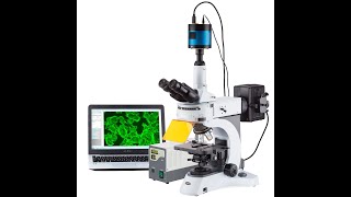 شرح المجهر الفلوري(Fluorescence Microscopy)