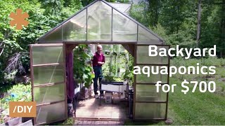 Backyard aquaponics: DIY system to farm fish with vegetables