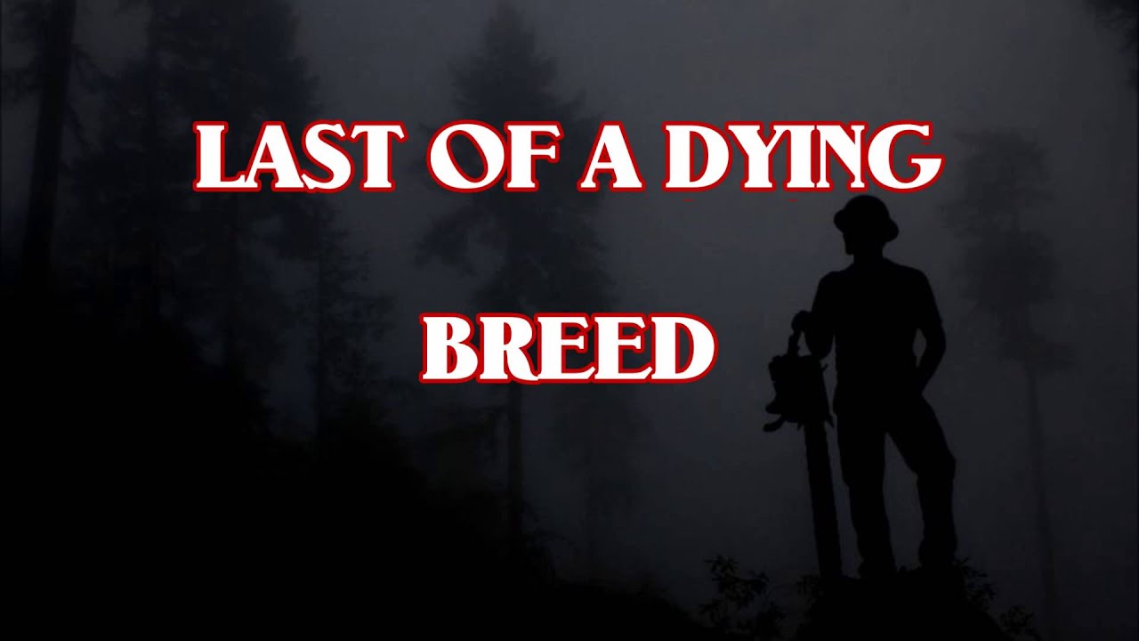 RAP INSTRUMENTAL LAST OF A DYING BREED - YouTube