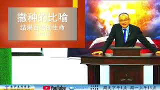 2024年05月27日 主日信息：【撒种的比喻--结果百倍的生命】 讲员：叶明亮 牧师