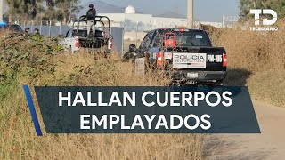 Encuentran los cuerpos de tres hombres emplayados en Tlajomulco