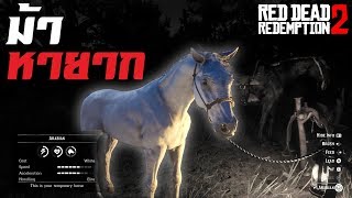 สอนจับม้าที่โหดที่สุด ได้ง่ายมากๆ! (Red Dead Redemption 2) ไทย