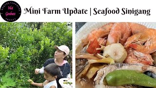 Farm Vlog: After a Typhoon  Update | Let's cook Seafood Sinigang w/ Banana Heart