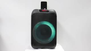 NDR single 8inch portable speaker