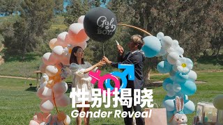 Gender Reveal 性别揭秘 | 公布宝宝的小名儿 ❤ ft. 一婶是Ethan