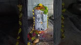 swayambhu shiva lingam