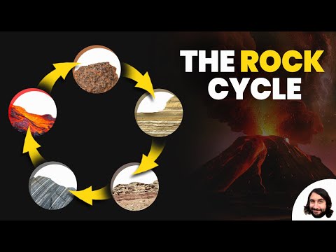 What are three rock cycles?