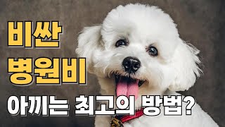 비싼 병원비? '이것'만 챙기면 병원비 아낄 수 있어요!