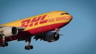 Práce v DHL Supply Chain