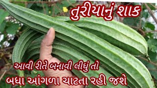 ઘીસોડા (તુરીયા) નું શાક એકવાર આવી રીતે બનાવી લીધું તો બધા આંગળા ચાટતા રહી જશે /Turiya Nu Shaak