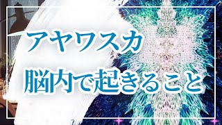 【アヤワスカで脳に何が起きる？】シャーマンの儀式、サイケデリックルネッサンスの未来は？ 不安障害、依存症、うつ病などの精神疾患治療薬としての研究や瞑想、自我の崩壊、潜在意識についてのおしゃべり。