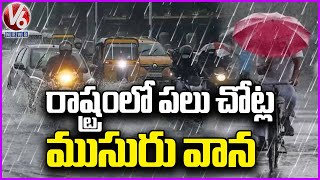 Weather in the State has Changed Due to a Low Pressure Area in the Bay of Bengal  | V6 News