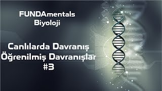 Canlılarda Davranış #3 Öğrenilmiş Davranışlar