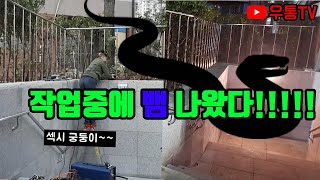 핸드레일 알곤용접 공사중 뱀이 나타났습니다!!!! 벽부형 핸드레일 알곤용접![우통TV]