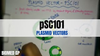 Plasmid vectors - pSC101 | BioMed GP |