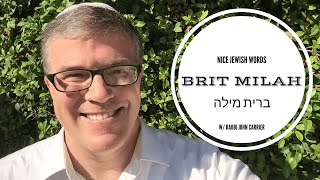 What Is A Bris  Brit Milah Circumcision As A Sign Of The Jewish Covenant