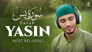 Surah Yasin (Yaseen) سورة يس | Relaxing Heart Touching | Wonderful Quran